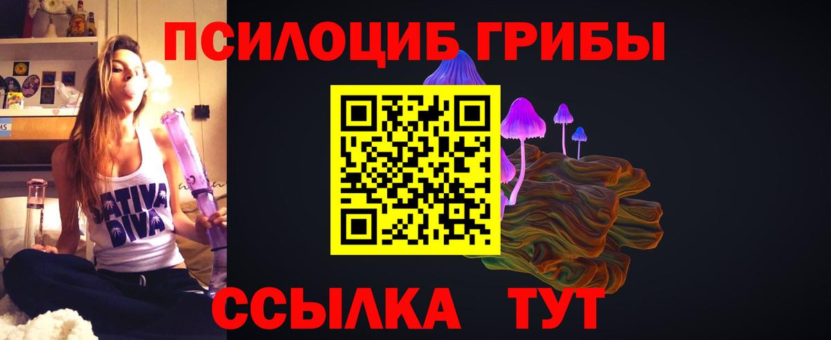 Котлас  Псилоцибиновые грибы прущие грибы  Галлюциногенные грибы Cubensis  Вход с VPN 