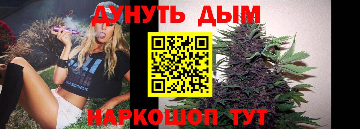 Бошки Шишки планчик Котлас